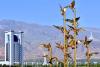 The World forum on international law will be held in Ashgabat under the auspices of the UN