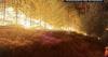 WASHINGTON STATE WILDFIRES RAGE, ARSON ARREST MADE (4AET)