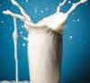In the Russian Federation, the sale of milk by agricultural organizations increased by 2.3%