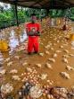 Fact-check: Is this viral image of a flooded poultry farm real?