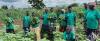 Government cautions public over fake agricultural grant offer