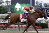 New Kentucky-New York racing series could sink historic Triple Crown