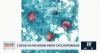 Consumer Headlines: Two dead in Michigan from Cyclosporiasis