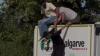 Moment illegal migrants climb out of lorry from Spain in Essex after ‘cutting open roof and sneaking past border check’