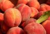 California peach yields to drop 10 percent amid processing struggles