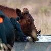 The Importance of Ag Water Sources
