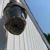The Bee Hunter Releases Educational Resources on Stinging Insect Identification and Removal for MetroWest Homeowners