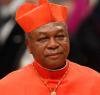 Catholic Laity to presidency: Onaiyekan spoke out of concern for Nigeria not malice