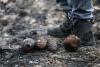Explosions heard as more than 400 WWII shells found in village at center of France’s wildfire crisis
