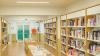 Readers still prefer paper books despite rise of digital options