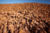 Iron Ore Hits Year Low: Fake Invoices Expose Commodity Finance Blind Spot