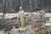 Senate Pushes CFTC to Block Wildfire Bets as Oregon Burns Record 2M Acres
