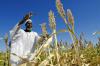 Global hunger levels fall but Africa still lags behind, UN report finds