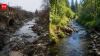 How Vietnam veteran John Beal turned Seattle's polluted Hamm Creek into a thriving salmon habitat after doctors gave him just four months to live