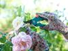 Do You Need to Deadhead Your Flowers? A Gardening Pro Explains