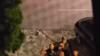 Neo-Nazis try to storm hotel in Sofia hosting young Italian Jews
