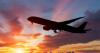 Travel firm selling trips to popular destination goes bust as all holidays cancelled