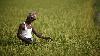 Small farmers play biggest role in food production but earn the least: Survey