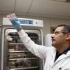 Defending the Flock – Purdue Researchers Lead USDA Study on Foggers for Avian Influenza