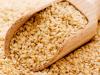 Farmers in Dashoguz Velayat Harvest 10 Centners of Sesame per Hectare Annually