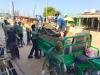 Clean Green Wa Project: Curious Minds Ghana joins NYA clean-up campaign 