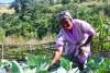 Home gardens: A lifeline in South Africa’s cost-of-living crisis