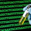 Portugal recognises over 150 rare diseases in year in which 1,803 rare disease cards issued
