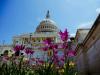 The Land Beneath Democracy: America at 250