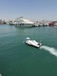 MoECC launches 'Smart Observer' project to monitor environmental changes, collect data