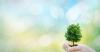 Beyond the promise – what makes ESG meaningful in insurance?