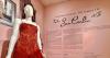 Louisiana Up Close: A photographic walk through Louisiana Art & Science Museum's 'San Carlin' show
