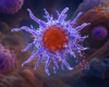 Scientists unmask immune cells that supercharge the fight against cancer