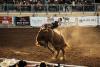 Win Weekend Passes to Pioneer City Rodeo in Palestine, Illinois