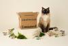 Is Untamed cat food right for your cat? What pet owners should know, from ingredients to price