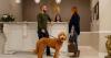 Leading National Brand K9 Resorts To Open State-of-the-Art Dog Resort in Sterling, Virginia