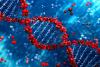 Exploring Genetic Differences in Parkinson’s Disease by Ancestry
