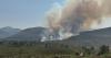 UK Government urged to 'step up' over 'concerning' Cairngorms wildfire response