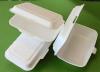 Beyond the Styrofoam Ban: Can Ghana balance affordability, innovation and the fight against plastic pollution?