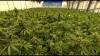 North Carolina House could take up THC bill Tuesday