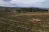 Natural Power Secures Ground Investigation Contracts for Two Vattenfall Wind Farm Developments