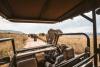 Africa’s Tourism Success: Unlocking Potential Through Collaboration