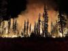 The Most Shocking Climate News of 2026