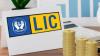 LIC stake sale: Government exercises green shoe option after institutional book sees robust demand