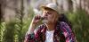 More Americans Report Daily Use of Cannabis than Cigarettes and Alcohol