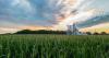 Agtech success is built, not inherited, says Midwest innovation study