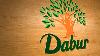 FSSAI cracks down on Dabur’s ‘100%’ claims: Why India’s food regulator says ‘natural’ and ‘pure’ can mislead consumers