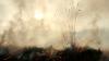 Super El Niño may push an already stressed climate ecosystem across a critical threshold, climate change researcher says