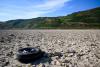 Rhine Set for More Disruption After Hitting Lowest on Record