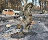 Wildfires Reveal Hundreds of WWII-Era Shells in French Village