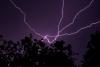 Britain Endures Driest July on Record as Met Office Says Thunderstorms Will Not End Drought
